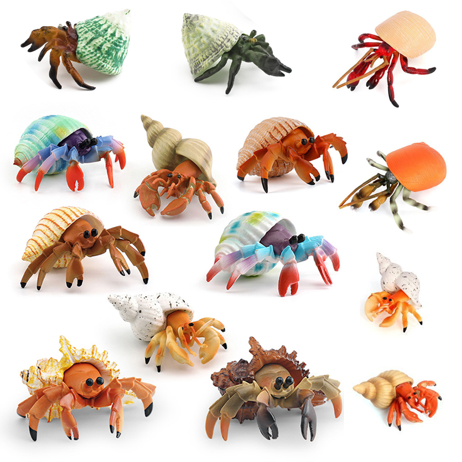 Kids Toys Under 1 Year - Realistic Hermit Crab Figurine Durable PVC