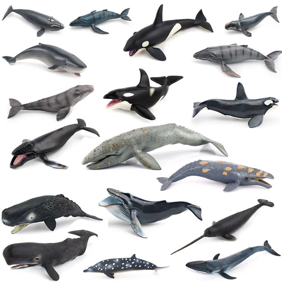 Kids Toys Under 1 Year - Realistic Humpback Whale Sperm Whale Narwhal