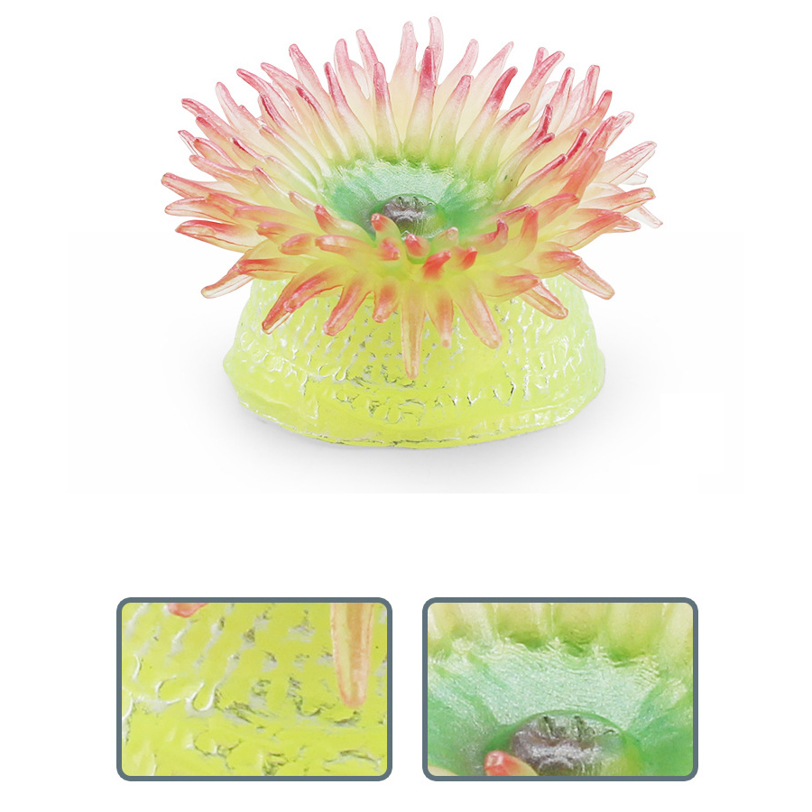 Realistic Coral Sea Anemones S - Kids Toys Under 1 Year review and price
