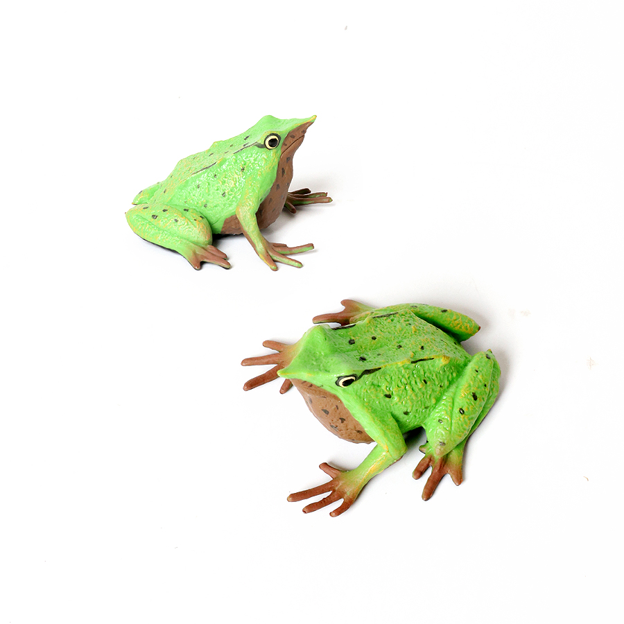Rainforest Animals Frogs Figur - Kids Toys Under 1 Year review and price
