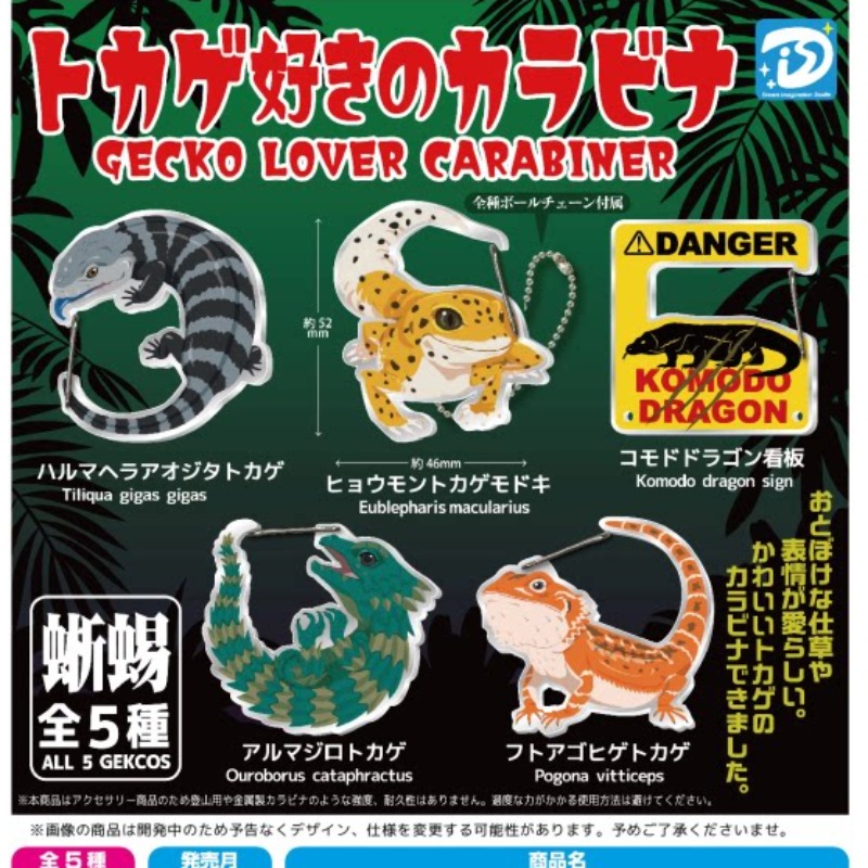 Lizard Gecko Carabiner Capsule - Kids Toys Under 1 Year review and price