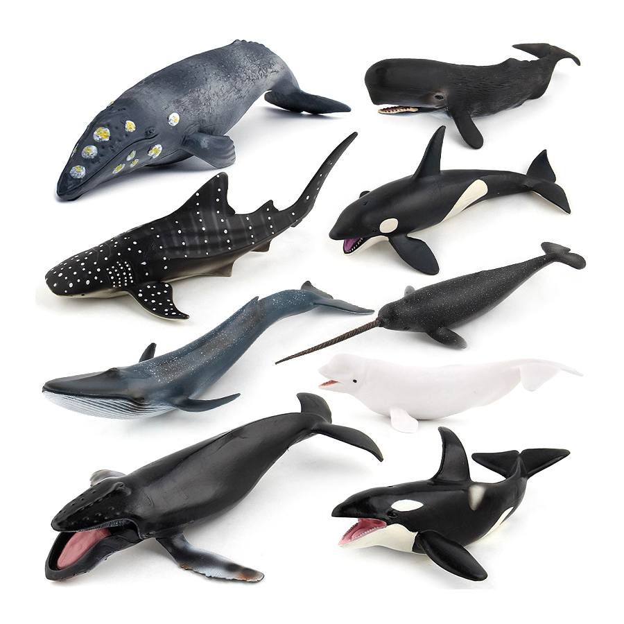 Realistic Humpback Whale Sperm - Kids Toys Under 1 Year review and price
