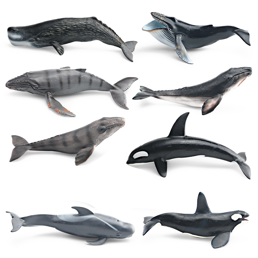 Realistic Humpback Whale Sperm - Kids Toys Under 1 Year review and price