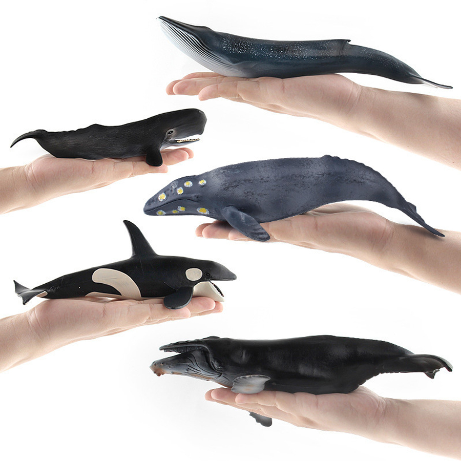 Realistic Humpback Whale Sperm - Kids Toys Under 1 Year review and price