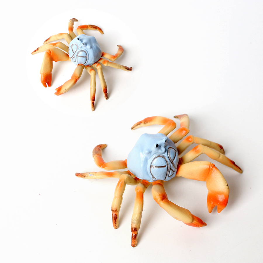 Realistic Ocean Animals Hermit - Kids Toys Under 1 Year review and price