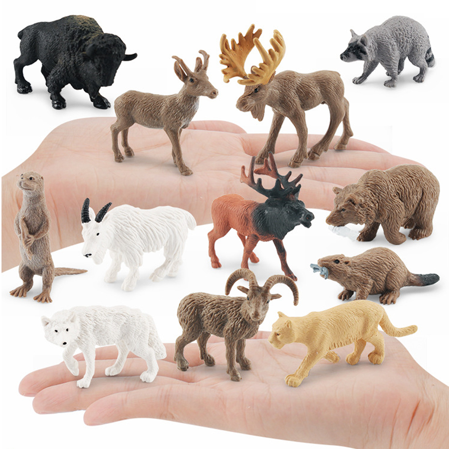 Realistic North American Anima - Kids Toys Under 1 Year review and price