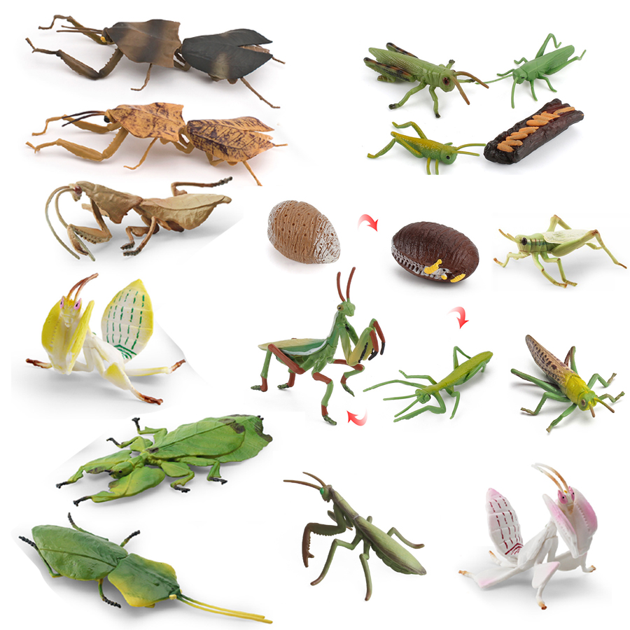 Realistic Orchid Mantis Dead L - Kids Toys Under 1 Year review and price