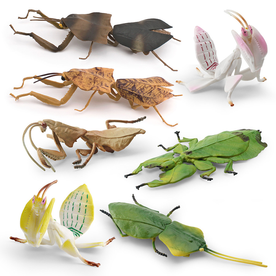 Realistic Orchid Mantis Dead L - Kids Toys Under 1 Year review and price