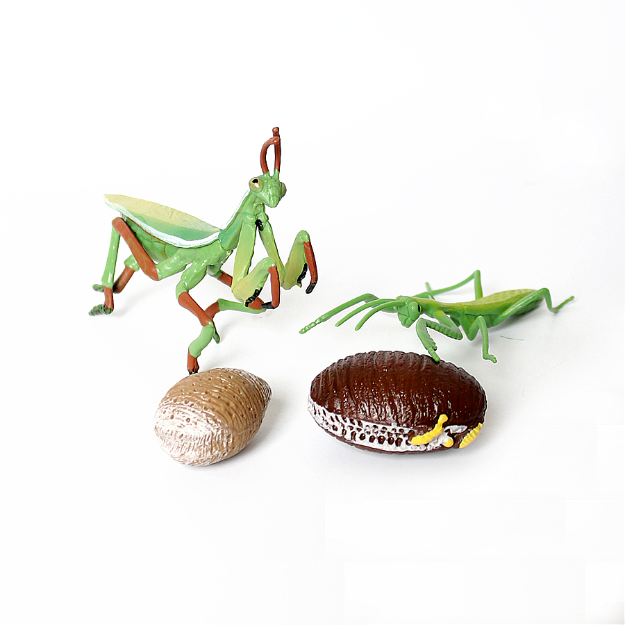 Realistic Orchid Mantis Dead L - Kids Toys Under 1 Year review and price